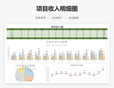项目收入明细图