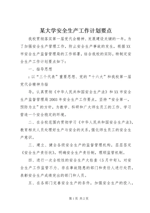 某大学安全生产工作计划要点 (5).docx