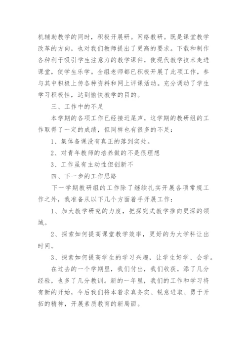 史地教研组工作总结.docx