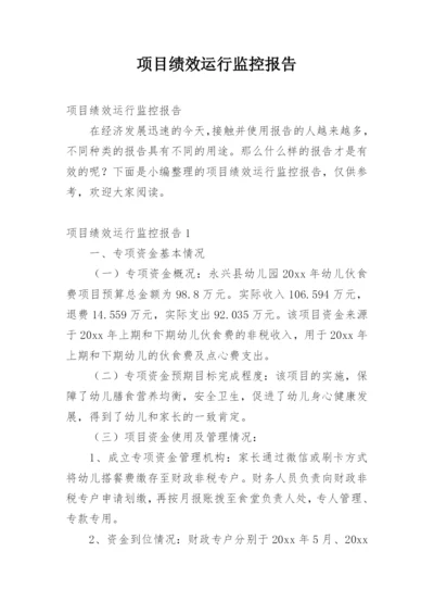 项目绩效运行监控报告.docx