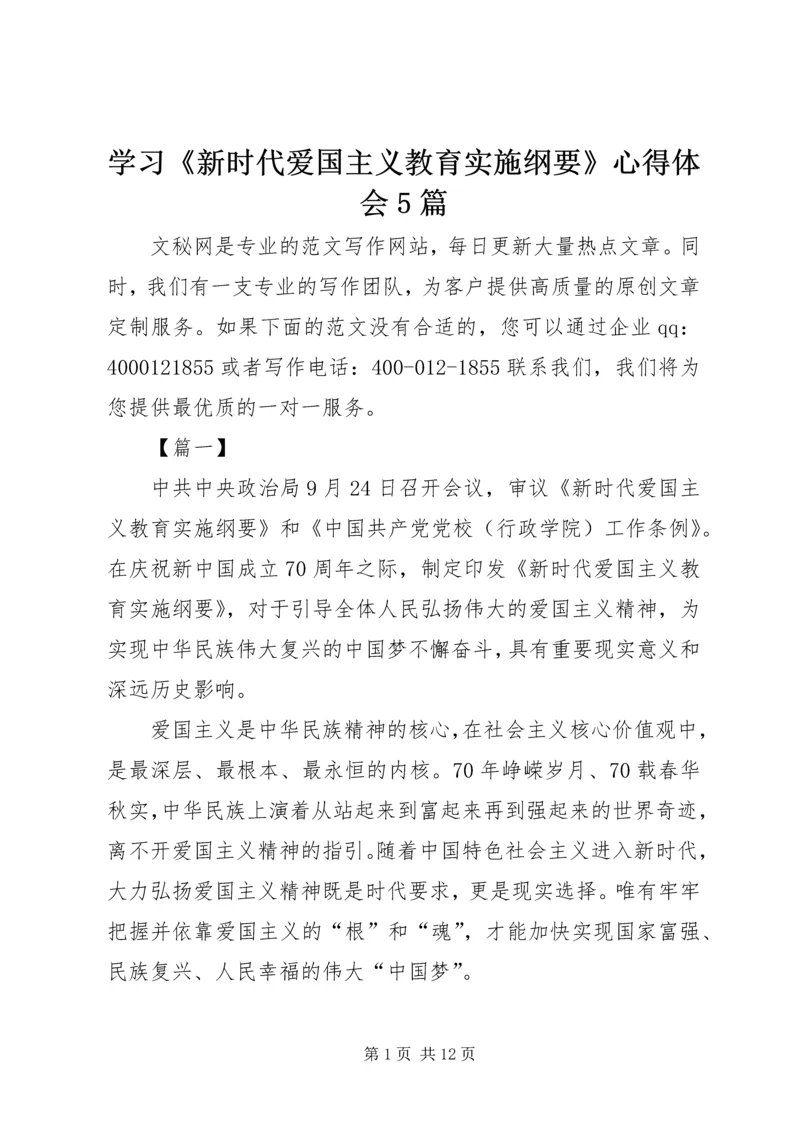 学习《新时代爱国主义教育实施纲要》心得体会5篇.docx