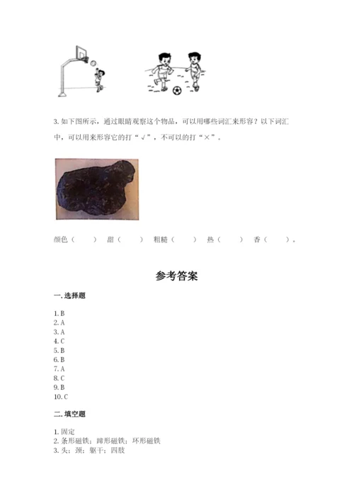 教科版二年级下册科学期末测试卷含答案（名师推荐）.docx