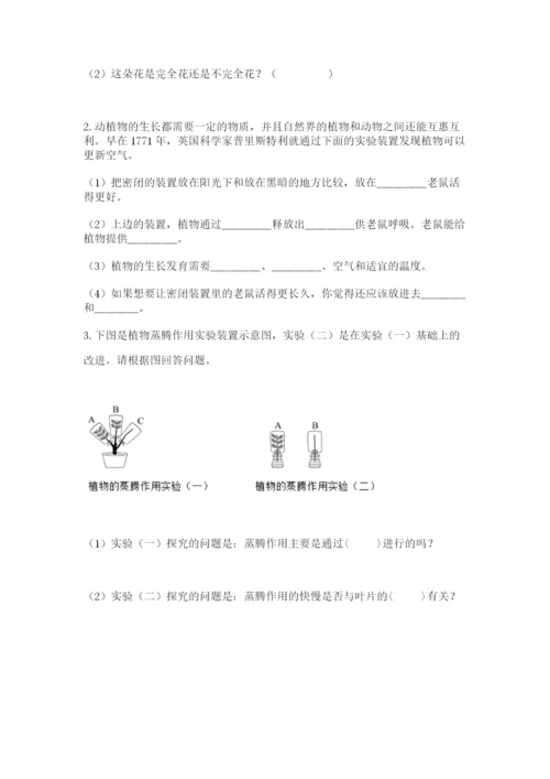 教科版科学四年级下册第一单元《植物的生长变化》测试卷（word）.docx