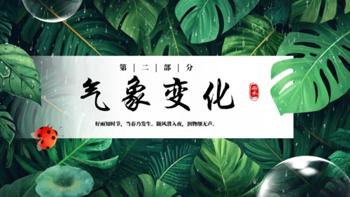 雨水节气通用PPT模板