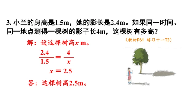 2024（大单元教学）人教版数学六年级下册4.9  用比例解决问题课件（共24张PPT)