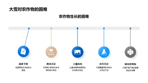 大雪对农业的影响与应对