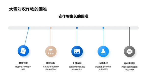 大雪对农业的影响与应对