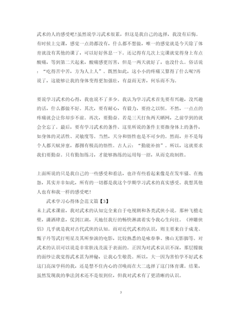 精编武术学习心得体会范文.docx