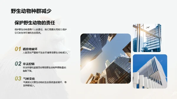 简约风其他行业教学课件PPT模板
