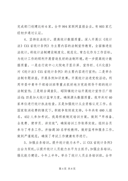 市统计局XX年工作总结及XX年工作计划.docx