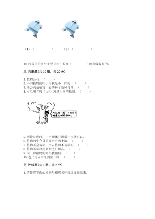 教科版一年级上册科学期末测试卷（综合题）.docx