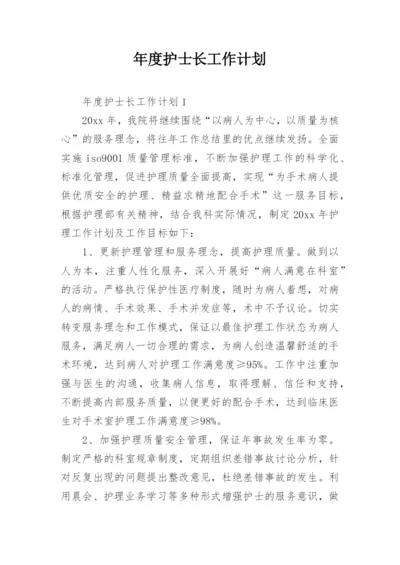 年度护士长工作计划.docx