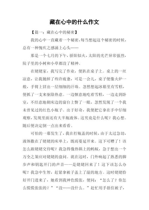 藏在心中的什么作文.docx