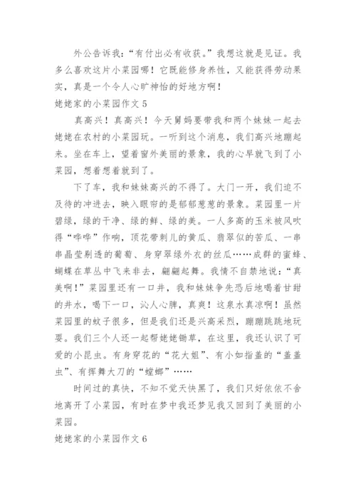 姥姥家的小菜园作文.docx