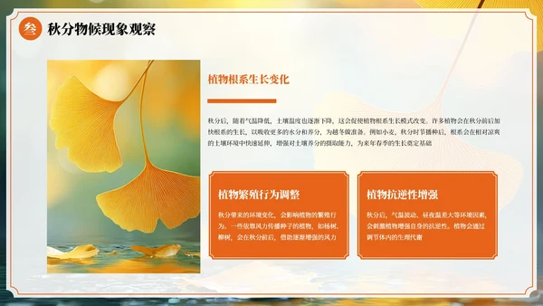 橙色中国风二十四节气秋分节气PPT模板