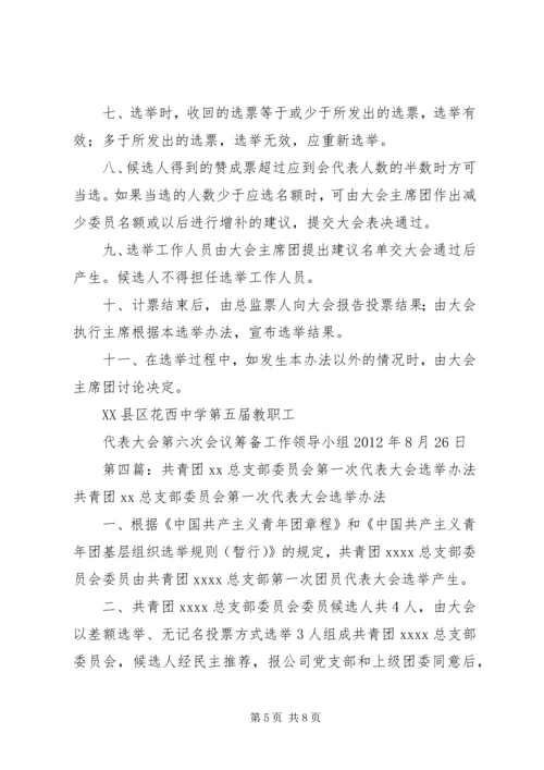 共青团第一届委员会选举办法.docx