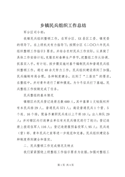 乡镇民兵组织工作总结.docx