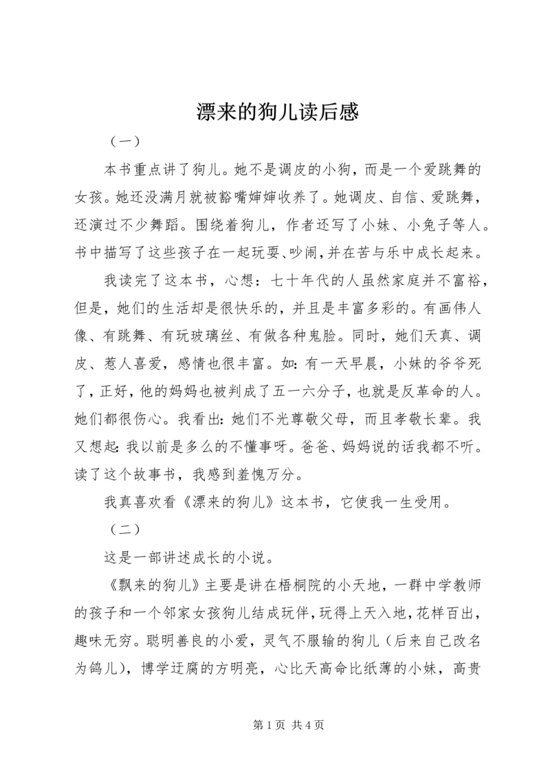 漂来的狗儿读后感.docx