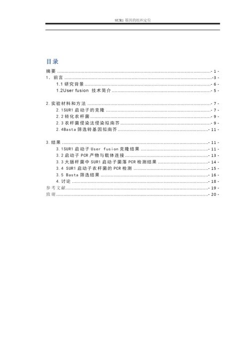 毕业论文—SUR1基因的组织定位.docx