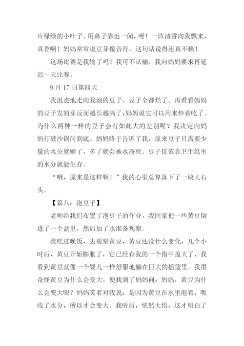 关于泡豆子的作文.docx