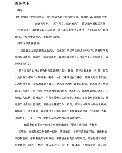 责任心和团队执行力详解.docx