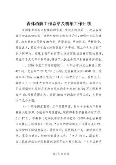 森林消防工作总结及明年工作计划.docx