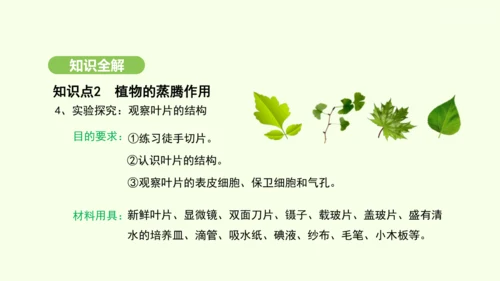第三单元-第二章-第一节-水的利用与散失课件-2024-2025学年七年级生物下学期人教版(2024