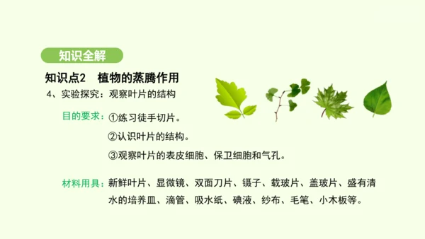 第三单元-第二章-第一节-水的利用与散失课件-2024-2025学年七年级生物下学期人教版(2024