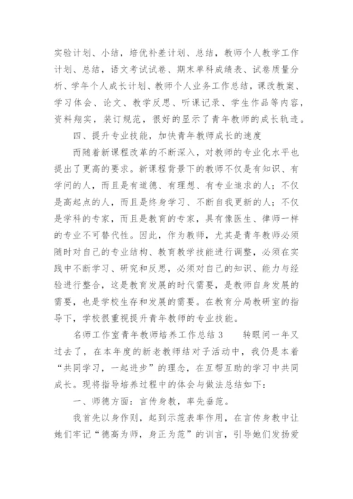 名师工作室青年教师培养工作总结.docx