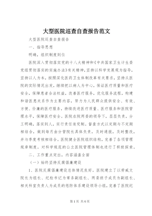 大型医院巡查自查报告范文.docx