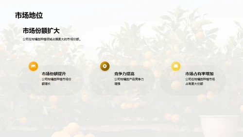 柑橘产业：未来之路