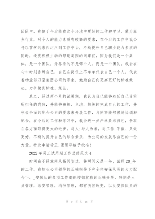 2022年员工试用期工作总结范文.docx