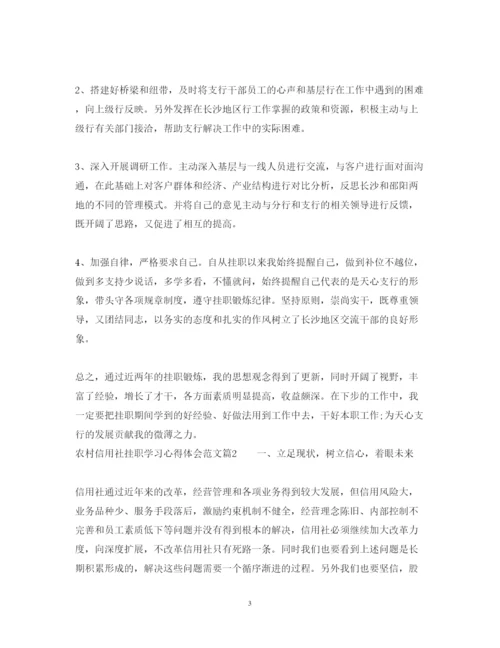 精编农村信用社挂职学习心得体会范文.docx