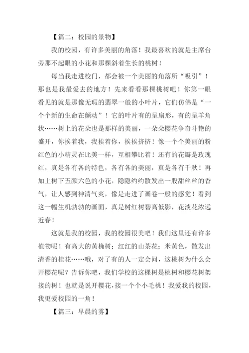 景物描写作文500字.docx