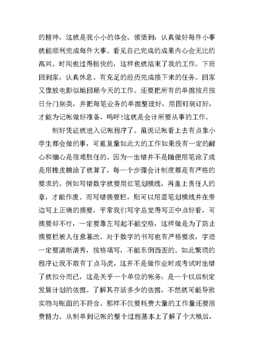 XX年会计社会实践报告XX字