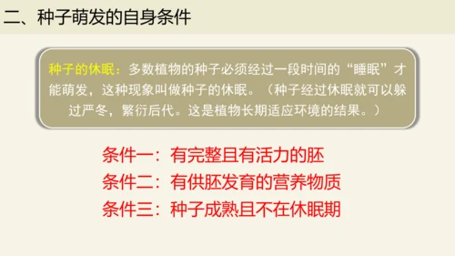 3.2.1 种子的萌发-2023-2024学年七年级生物上册优质课件（人教版）(共28张PPT)