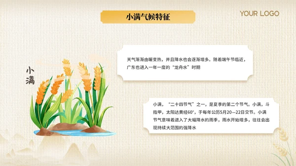 黄色节气之小满PPT模版