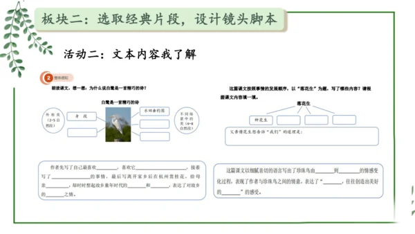 部编版语文五上第一单元 大单元教学设计--与自然对话，记录镜头下的心爱之物 说课课件