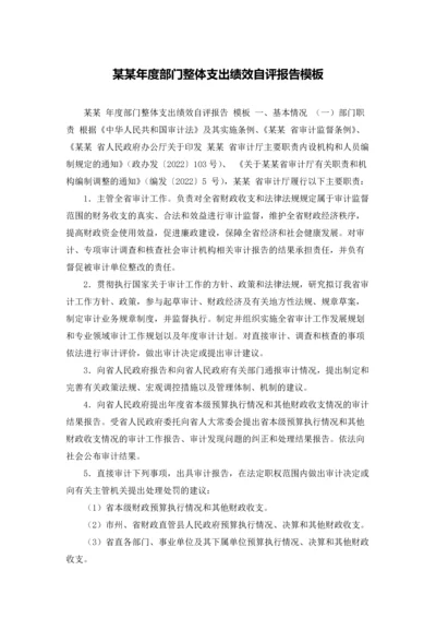 某某年度部门整体支出绩效自评报告模板.docx