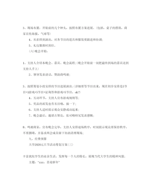 精编大学元旦节活动策划方案.docx