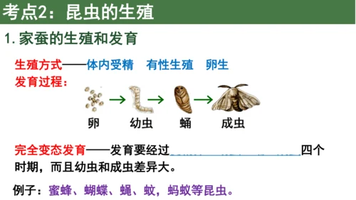 八下 第七单元复习课件(共58张PPT)