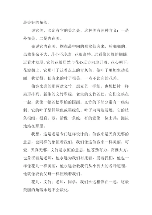 最美丽的角落作文.docx