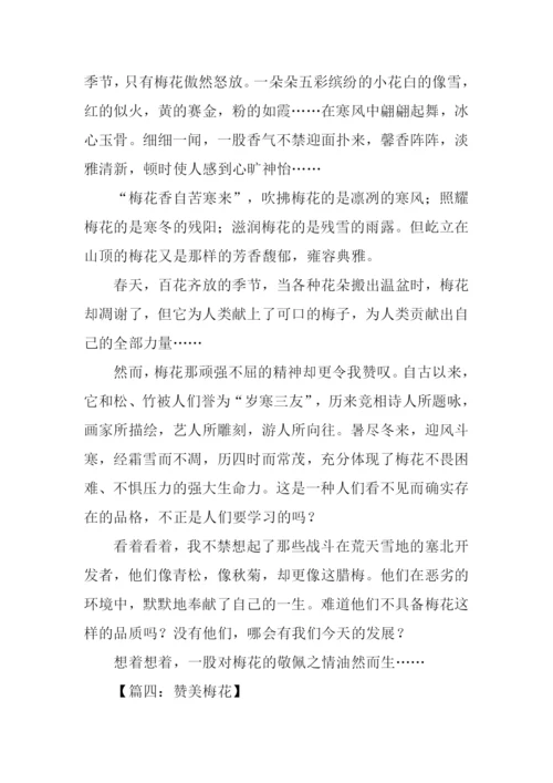 梅花的作文600字.docx