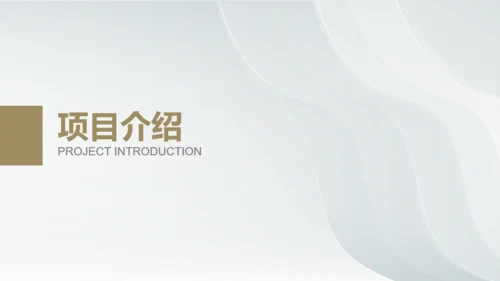 白金银色质感创业商业计划书通用PPT模板