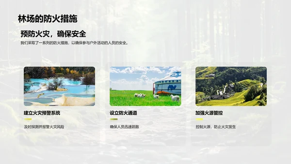 林场管理与保护
