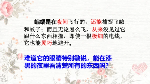 6夜间飞行的秘密  课件