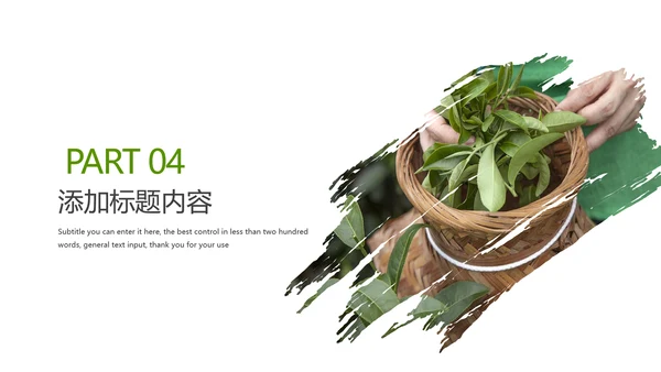 清新茶道展示茶文化茶馆动态PPT模板