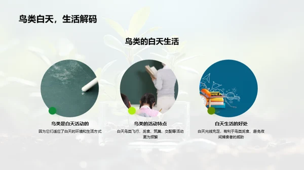 小科学家的生物探秘