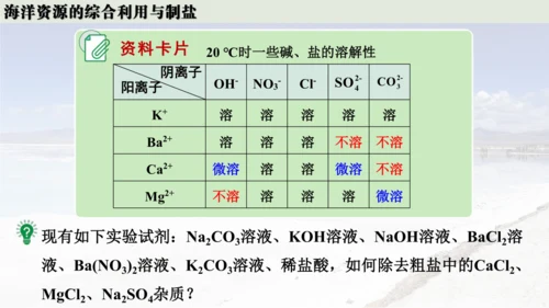 跨学科实践活动8  海洋资源的综合利用与制盐课件(共39张PPT内嵌视频)