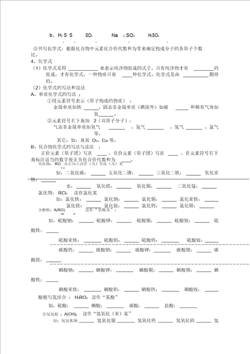 初中化学用语专题复习